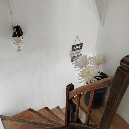 La Conquete, Charmante Maison De Caractere *
